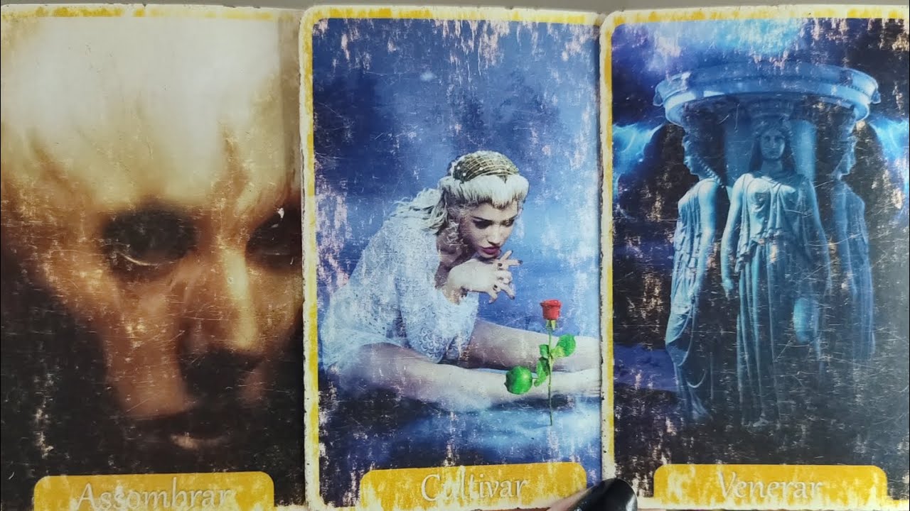 INTUITIVAS 151/577 🦋 DEPOIS DE MUITO TEMPO E MUITA SOLIDÃO VOCÊ RENASCE E MATERIALIZA ALGO IMPORTANT