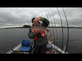 Vertical Jigging For Perch