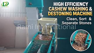🌰Cashew Washing & Destoning Machine🚀 Advanced Raw Cashew Cleaning System 💯 Cashew Processing Machine