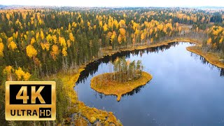 Красивое видео природы с релакс музыкой | Природа, релакс | Осенний 4К пейзаж | Полет через облака!