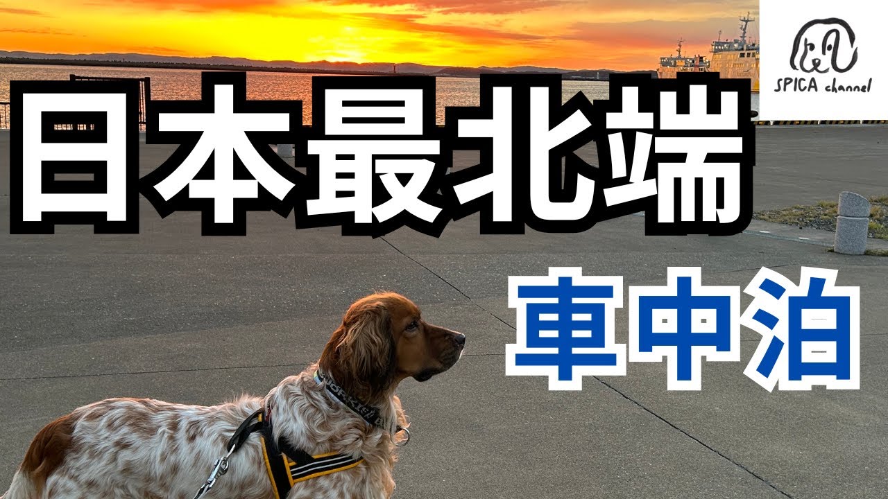 道の駅稚内で車中泊。そこで保護犬オスカが遭遇したのは…！猿払村～エサヌカ線までの記録。