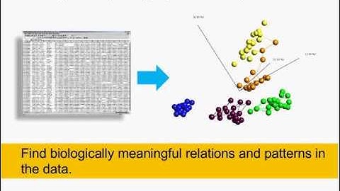 Manage Complexity by Visual Data Exploration