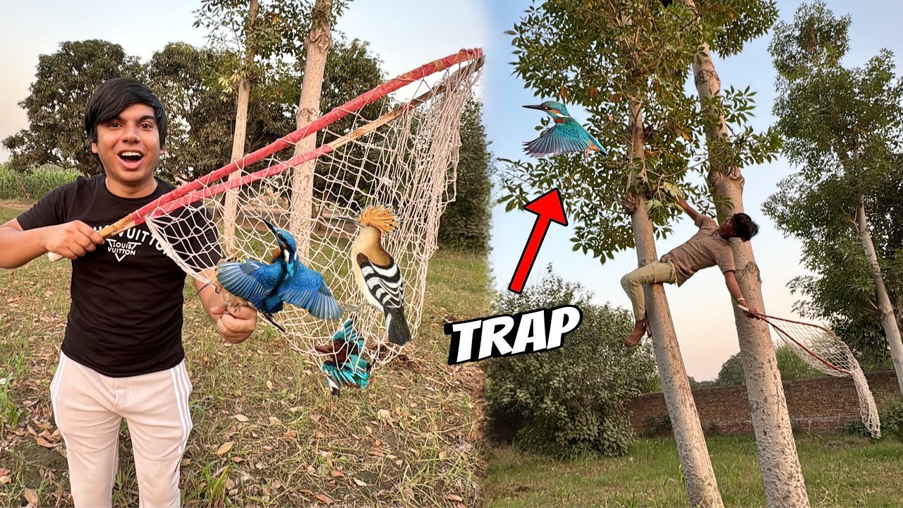 Trap Laga Ky HUD HUD Or King Fisher Pakar Liya 🥳