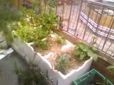 Garden 1 - styrofoam balcony boxes