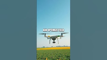 The Unforeseen Surge of AI-Powered Agricultural Drones