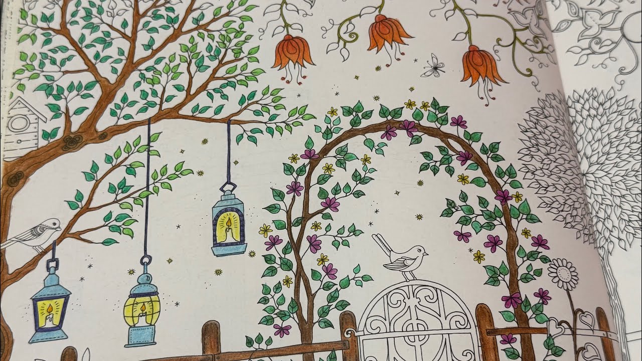 Chill Night - Colouring Book🖍️🎨📚(24)