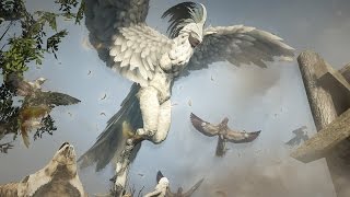 Black Desert Online | How to get S rank Knowledge on Harpy Queen Karanda