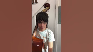 Bruh! 😅 Double bass vs. Cello brother 🎻😂 #shorts
