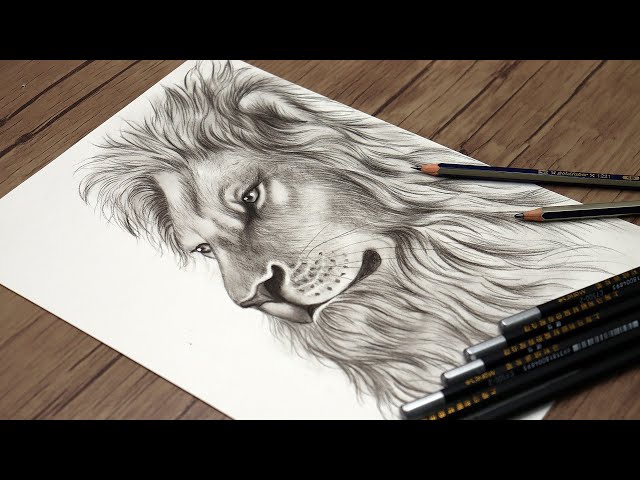 Lion Pencil Sketching On Old Paper With Sepia Tone Stock Photo - Download  Image Now - Lion - Feline, Plan - Document, Animal - iStock