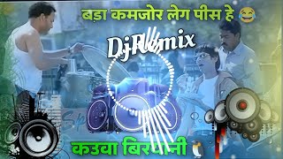 Kauwa 😂 Biryani Comedy Song || #kauwa_biryani_song || Hard Vibration Mix 2024 || Shyam Gurjar