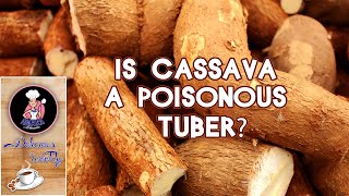 Are Cassava Tubers  Poisonous