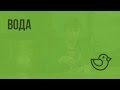 Вода. Видеоурок по окружающему миру 2  класс