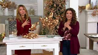 Simply Stunning Set of 6 Gilded Fruit & Magnolia Picks by Janine Graff on QVC