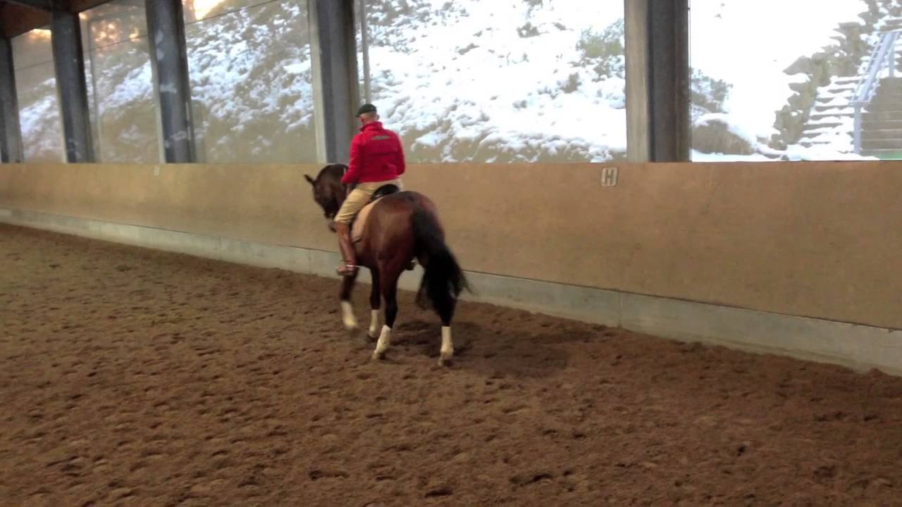 OiC Remote Coach Training