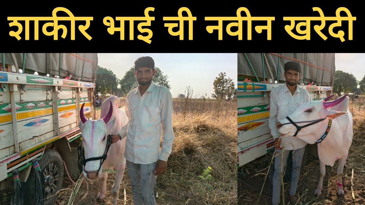 शाकीर भाई ची नवीन खरेदी | 