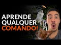 O segredo para ensinar QUALQUER COMANDO para seu cachorro! | Adestramento Online | Cão Guardião