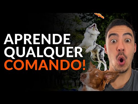 O segredo para