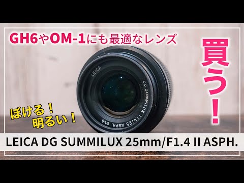 LEICA DG SUMMILUX 25mm/F1.4 II ASPH. レビュー[マイクロフォー