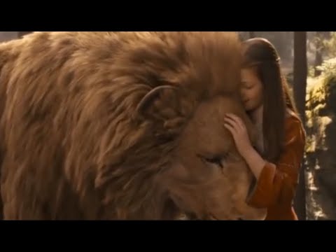 Aslan and Lucy |•| Into Your Arms