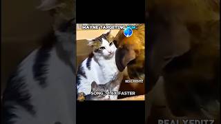 Mom cat aura ✅💀 l part -2 #mom #cat #aura #shorts #viral