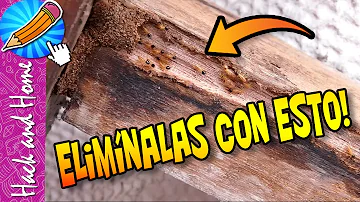 ¿Cómo puedo evitar atraer a las termitas?