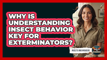 Why Is Understanding Insect Behavior Key For Exterminators? - Insects and Invaders