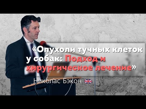 Видео: Опухоли тучных клеток у собак - Полностью проверено