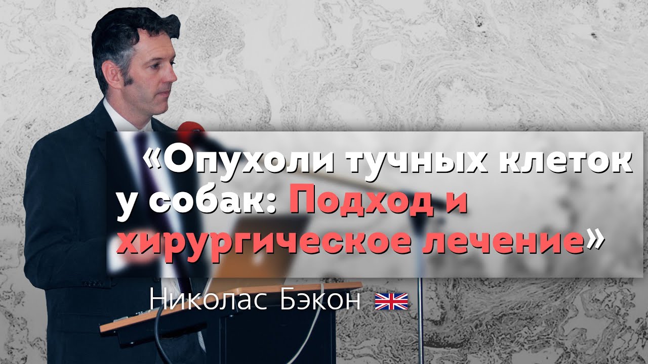 Опухоли тучных клеток у собак. Подход и хирургическое лечение. Mast Cell Tumours in Dog