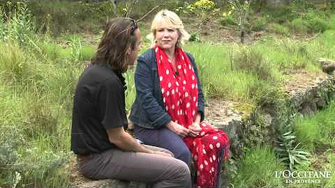 The Story of Immortelle, Part 1: Jo Fairley Meets ...