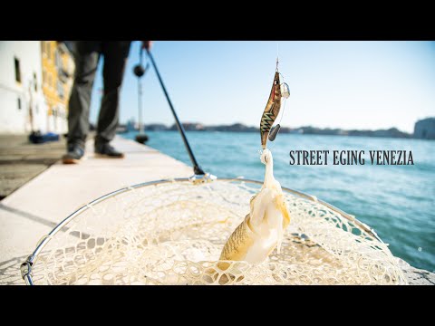 Street Eging Venezia - A Pesca Di Seppie Tra I Canali Veneziani