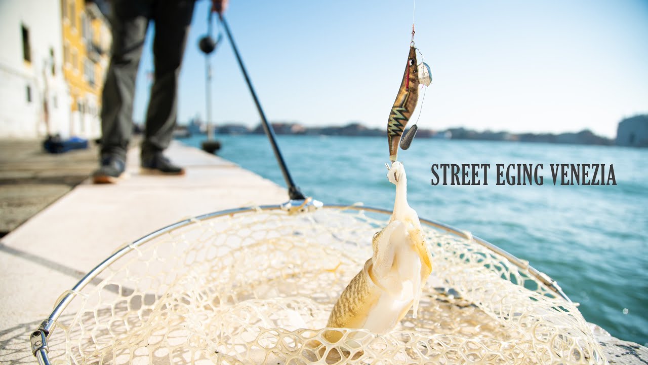 Street Eging  Venezia - a pesca di seppie tra i canali veneziani