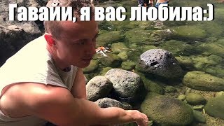 Джуманджи Гавайев - Маноа Джуманджи Гавайев - Маноа