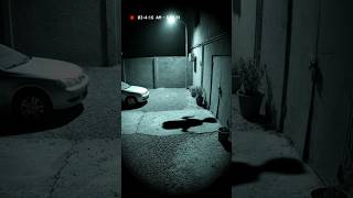 Sombra Real O Fantasma?