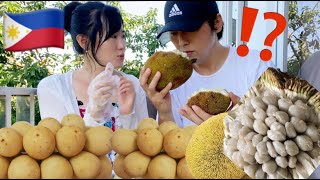 [🇵🇭🇰🇷]This fruit that only people living in the Philippines can eat?!