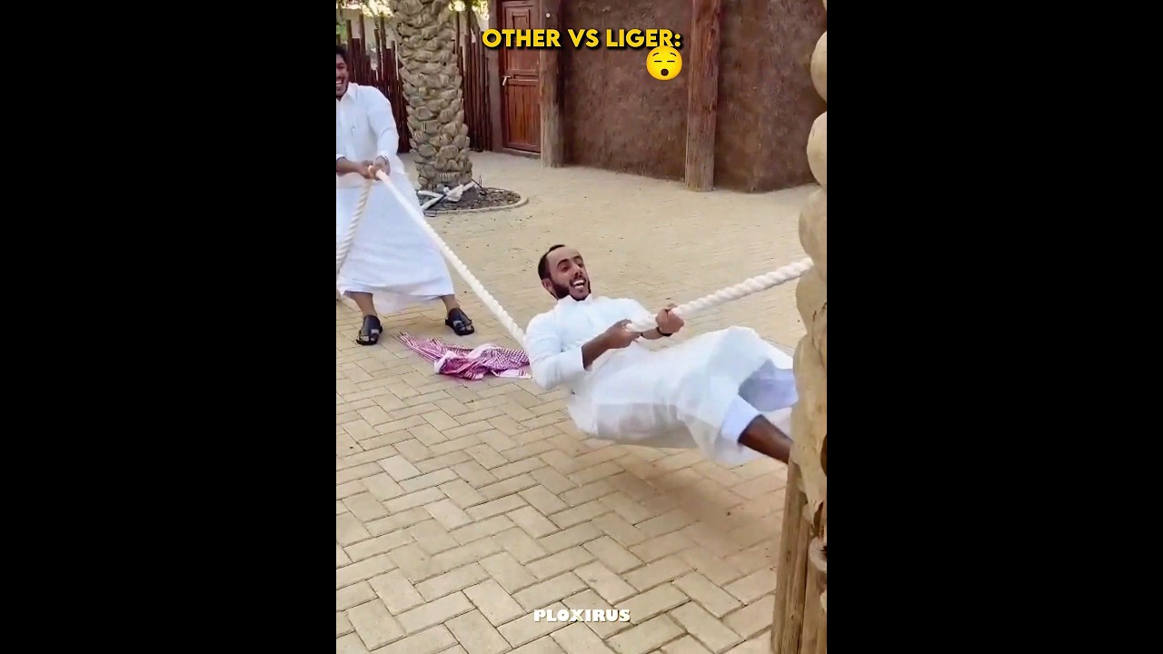 last one VS tiger 💀