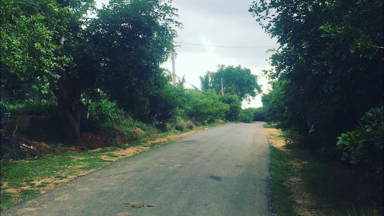 Farm land for sale near Nandi Hills YouTube