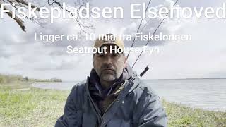 Fiskepladsen Elsehoved Østfyn 'Pladsbeskrivelse'