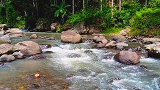 Thundering Water Roar for Mental Release, Deep Grounding, & Raw Natural Strength in an Untamed Flow