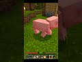 The Rise Of Pigga! #minecraft #funny #meme