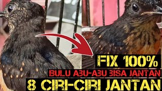 Gray furred chicks look like females‼️could be males‼️there are many breeders who lose money here...