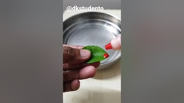 Leaf vs ink experiment #scienceexperiment #short