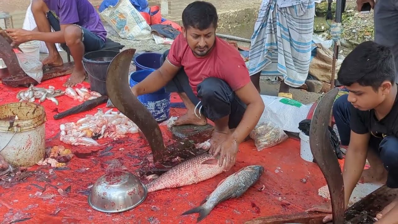 Expert Fish Cutting Skills Caught on Camera! 