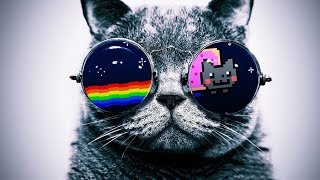 Смешные Приколы с Животными Смешные Приколы с Животными