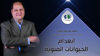 اسباب انعدام الحيوانات المنوية ( في السائل المنوي ) - دكتور تامر فؤاد الدش