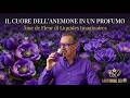 Ame de flueur liquides imaginaires il cuore dell'anemone in un profumo