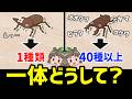 【なぜ】日本はカブトムシが1種類なのにクワガタはたくさんいるのか