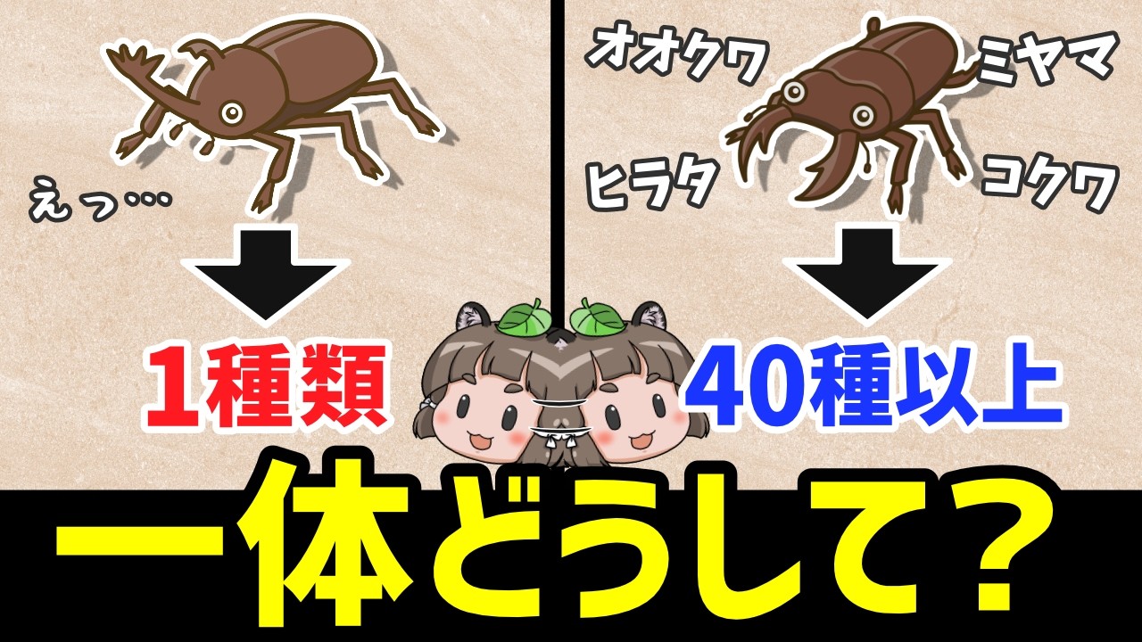 【なぜ】日本はカブトムシが1種類なのにクワガタはたくさんいるのか