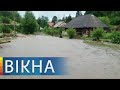 Валили деревья и срывали крыши: как мощные ливни накрыли запад и юг Украины | Вікна-Новини