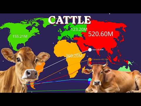Global Cattle Population by Continent (1900 - 2026) | Data Comparison thumbnail