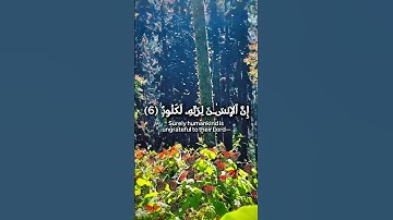 Surah Al Adiyat سورة العاديات #quran